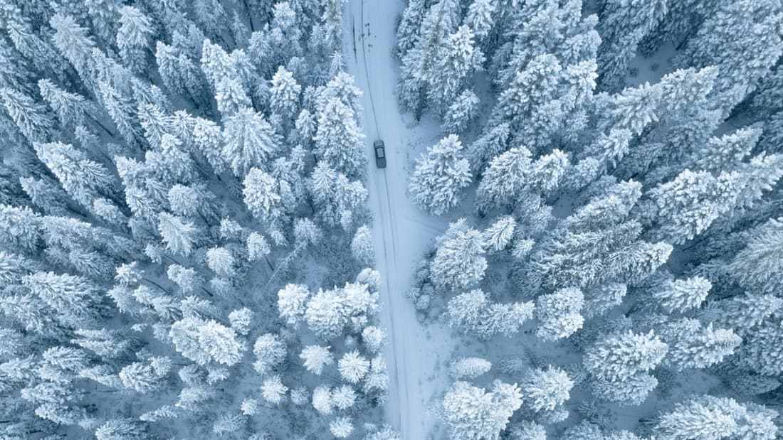 "Car driving through a snowy forest of pine trees, highlighting the importance of winter car care. Protect your vehicle this season with Premier Autos Detailing in West Plains, MO."