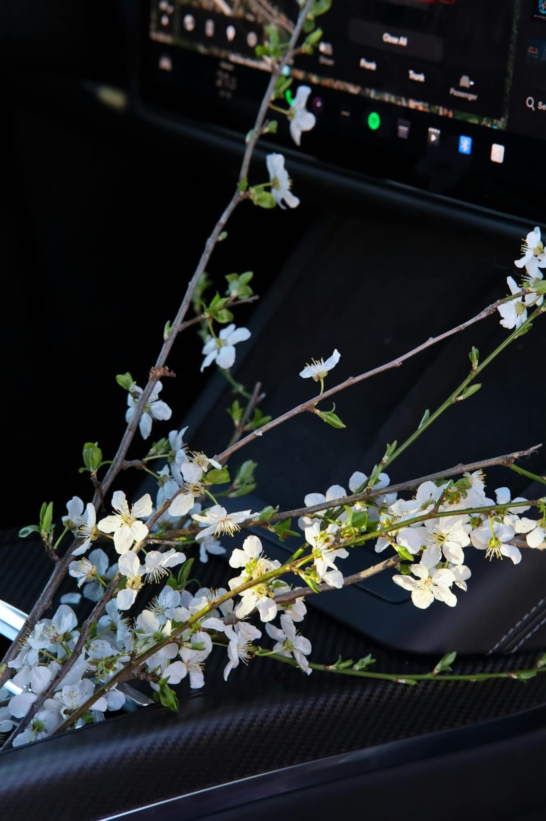 Fresh flowers placed on the center console of a professionally detailed car in West Plains, MO by Premier Autos Detailing.