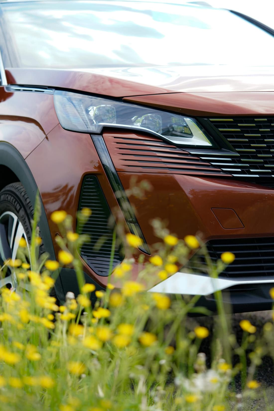 A sleek car with blurred spring flowers in the foreground, symbolizing seasonal renewal and cleanliness.