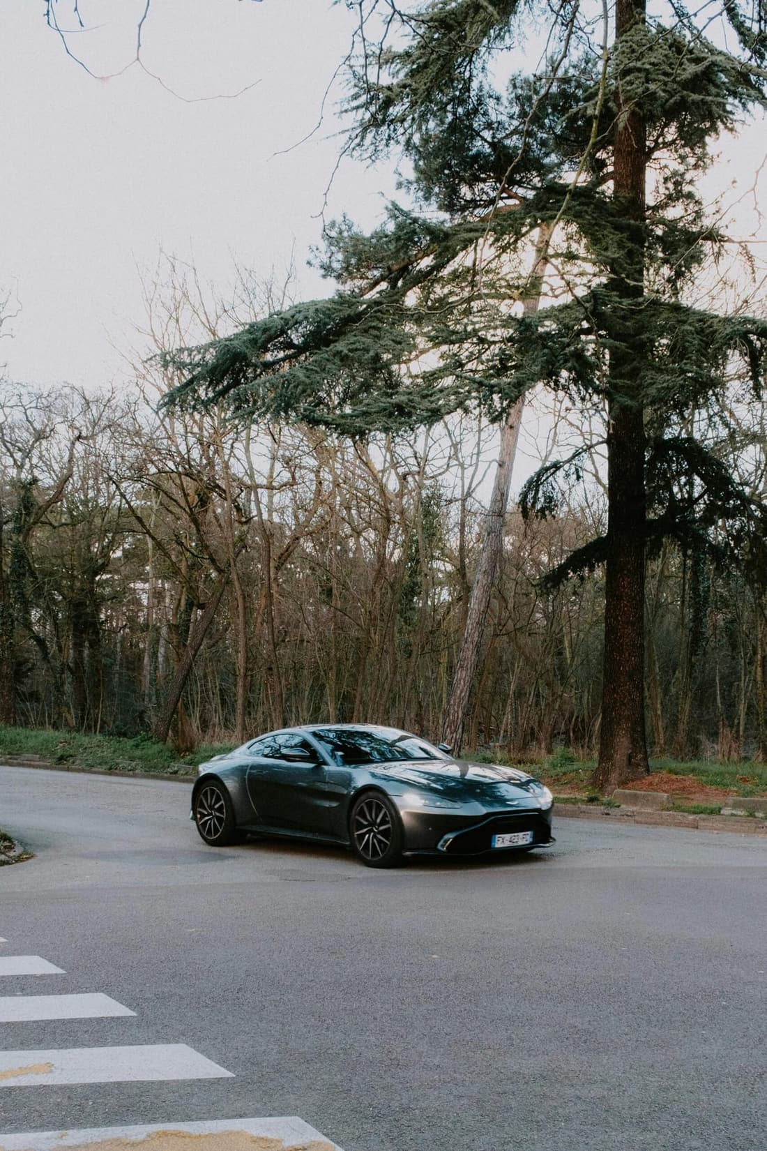 Sleek black sports car parked on a scenic road surrounded by trees, representing a clean and allergen-free vehicle interior.
