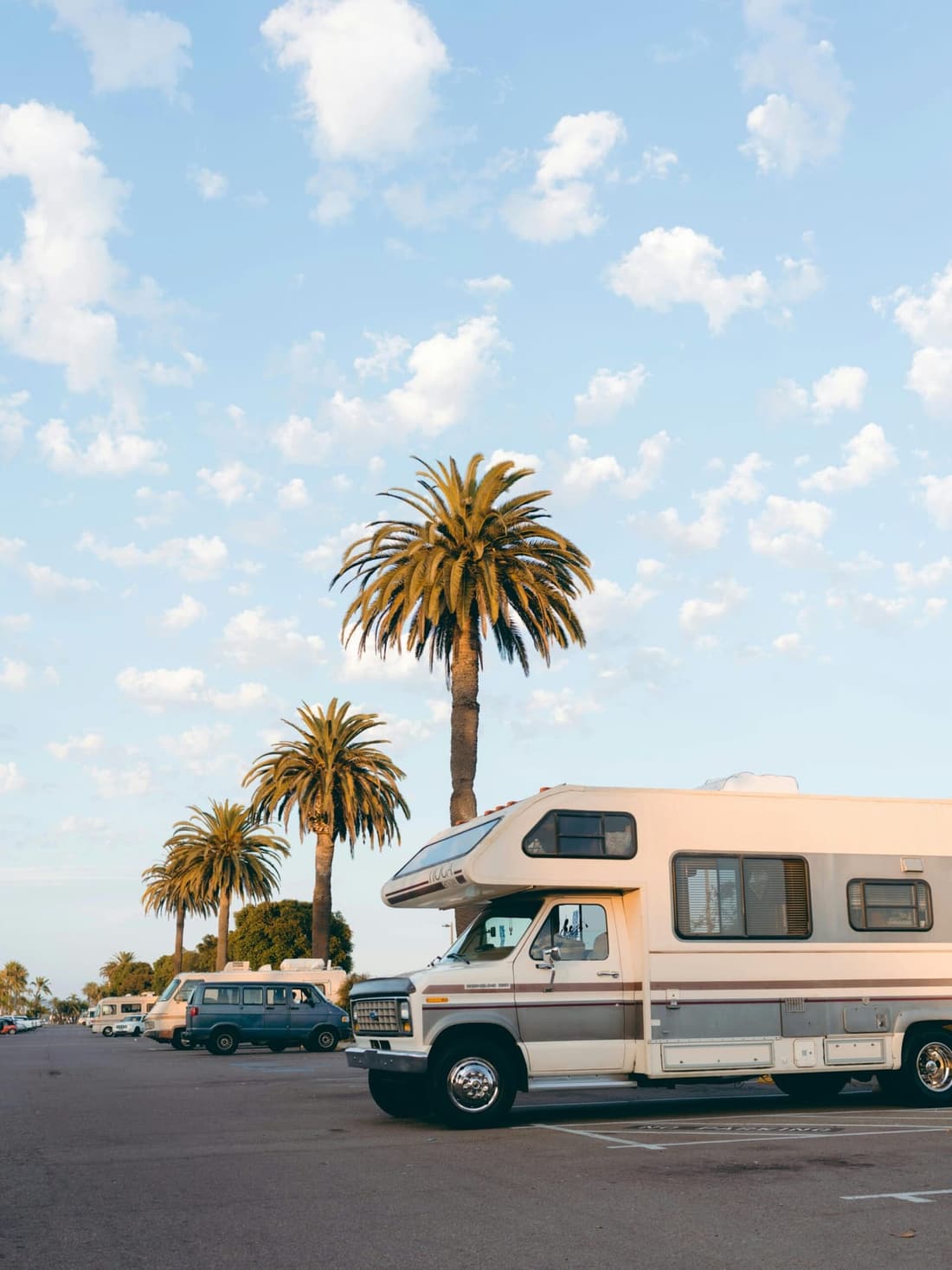 "RV parked in a tropical setting with a palm tree in the background, symbolizing adventure and the importance of roof care."