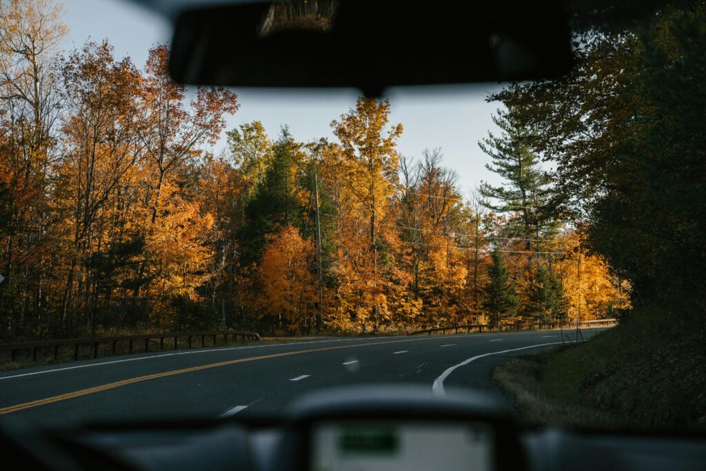 View through a car windshield driving down a road surrounded by fall foliage in West Plains MO